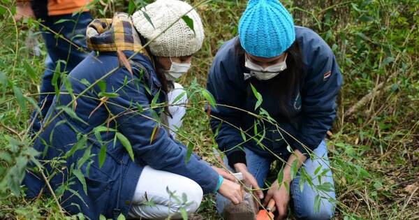 La Nación / Presentan taller de “Pago por servicios ambientales en Paraguay”