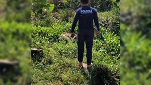 Hallan cadáver y creen que sería de un joven desaparecido en Itacurubí del Rosario