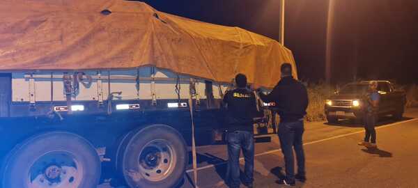 Detienen un camión que transportaba marihuana entre postes de madera - El Independiente