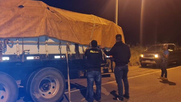 Senad intercepta camión con casi 2.000 kilos de marihuana