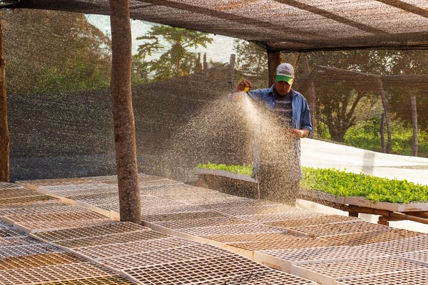 Diario HOY | Producir más con menos: un enfoque de la agricultura inteligente
