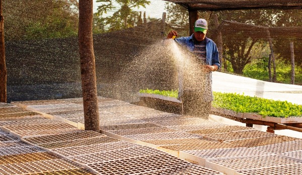 Producir más con menos en la agricultura climáticamente inteligente •