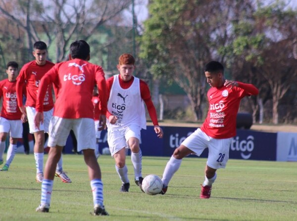 Los elegidos de la Albirroja Sub 15 - APF