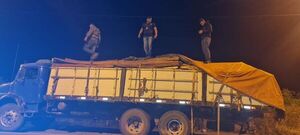 Interceptan camión que transportaba marihuana entre postes de madera - Policiales - ABC Color