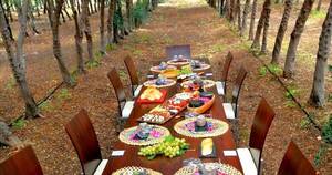 La Nación / Brasil invita a paraguayos a disfrutar de experiencias gastronómicas y sensoriales en enoturismo