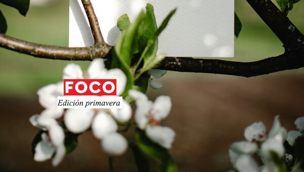 La innovación florece en primavera