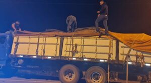 Antes mandioca, chía y cía, ahora marihuana: cae 2.000 kg de cannabis de ex productores