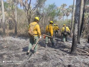 Extrema sequía anuncia temporada de incendios forestales de magnitud - Nacionales - ABC Color