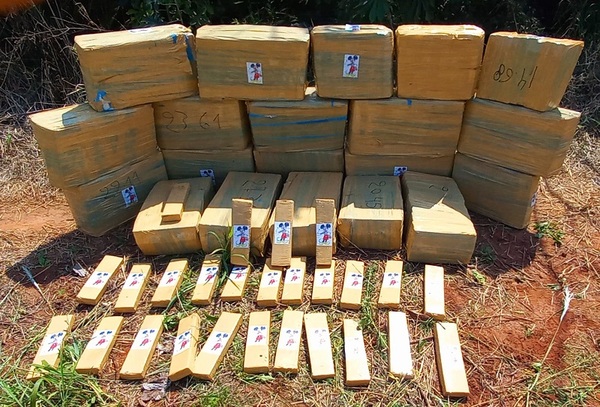 Nueva Alianza anuló 511 toneladas de marihuana en 6 días de incursiones en Amambay