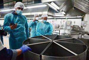 La alimentación de alta calidad es clave para el buen aprendizaje - Brand Lab - ABC Color