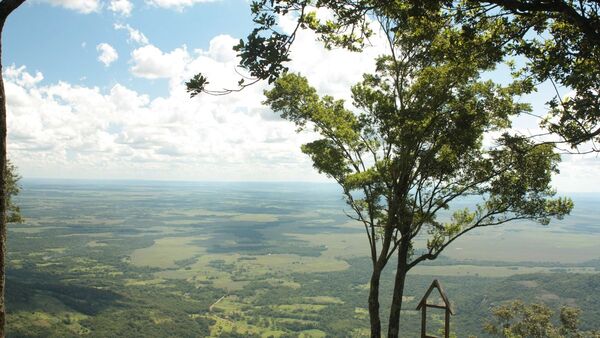 Paraguay es líder en turismo de naturaleza para Sudamérica