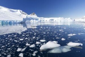 El gran glaciar antártico Thwaites se mantiene hoy “con las uñas” - Ciencia - ABC Color