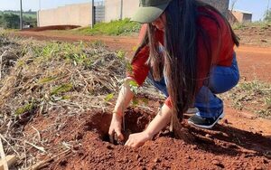 Estudiantes de la UNE acompañan a comisiones vecinales en trabajo de reforestación