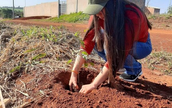 Estudiantes de la UNE acompañan a comisiones vecinales en trabajo de reforestación