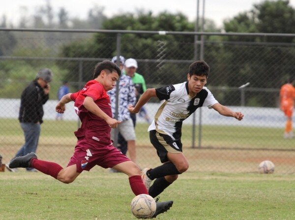 Sub 14: Con cuatro victorias y dos empates - APF