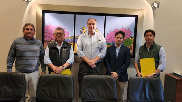 Atome compró 30 Ha al lado de subestación Buey Rodeo, para su planta de hidrógeno - Nacionales - ABC Color