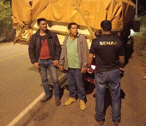 Imputan a camioneros que transportaban carga de marihuana oculta entre postes de madera - Nacionales - ABC Color