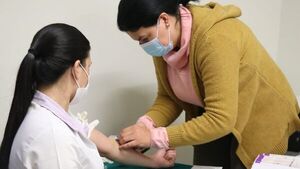 Investigan sobre absorción de medicación con yerba mate