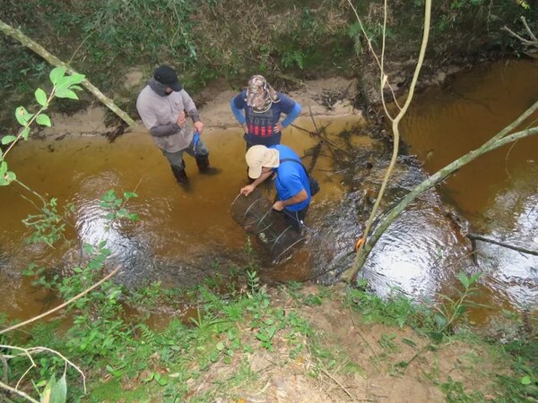 Investigadores registran nuevas especies de peces en Paraguay