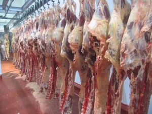 Rusia canceló importaciones de carne de otro frigorífico paraguayo