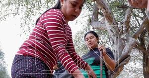 La Nación / Sequía en el Chaco: pobladores reclaman más asistencia del Gobierno ante la falta de agua