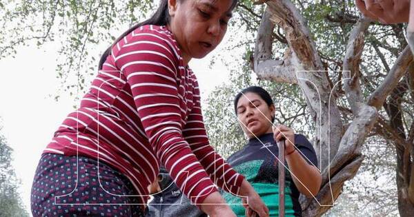 La Nación / Sequía en el Chaco: pobladores reclaman más asistencia del Gobierno ante la falta de agua
