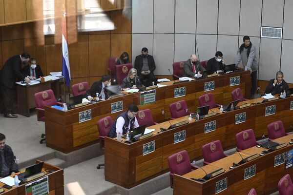 En año electoral, Congreso aprueba G. 20.000 millones para aumentos salariales de sus funcionarios - Política - ABC Color