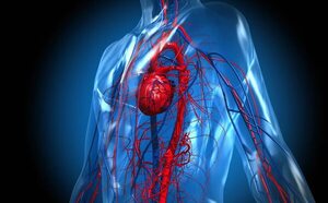 Diario HOY | COVID-19 leve puede provocar una inflamación en el corazón por más de 3 meses