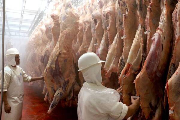 PARAGUAY CONTINÚA SIENDO EL PRINCIPAL PROVEEDOR DE CARNE VACUNA DE CHILE PESE A MENOR ENVÍO
