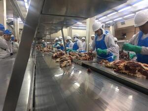 Rusia suspendió temporalmente a Frigorífico Concepción