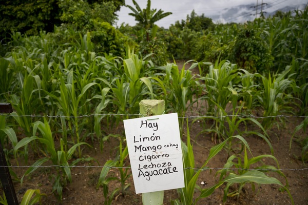 La baja en el consumo estanca a la agroindustria venezolana, según un partido opositor - MarketData