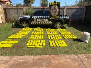 Intensifican acciones contra narcocampamentos | 1000 Noticias