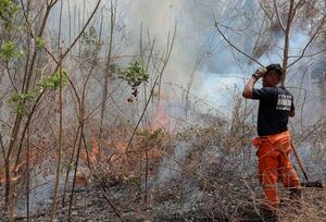 Bomberos trabajan para apagar incendios en dos parques nacionales en Bolivia - Mundo - ABC Color