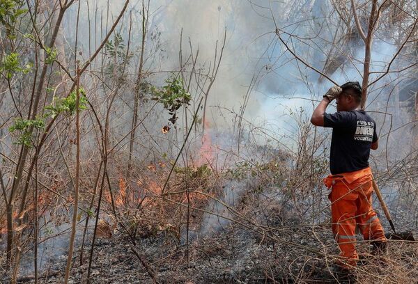 Bomberos trabajan para apagar incendios en dos parques nacionales en Bolivia - Mundo - ABC Color