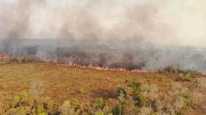 Diario HOY | Bomberos trabajan para apagar incendios en dos parques nacionales en Bolivia