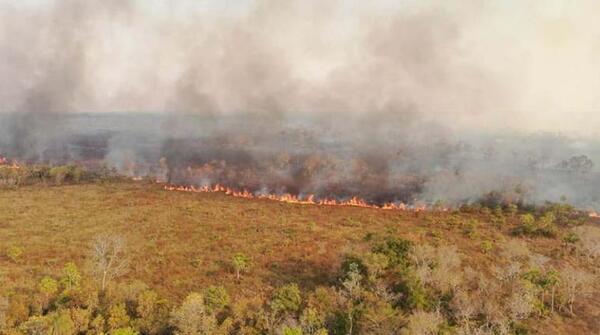 Diario HOY | Bomberos trabajan para apagar incendios en dos parques nacionales en Bolivia