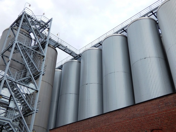 Industrialización plena de producción de soja podría haber generado US$ 600 millones más para Paraguay - Revista PLUS