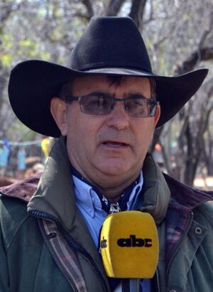 Engordar novillos para los mercados premium - Economía - ABC Color