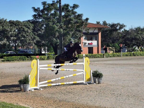 Galeano destaca en la sexta cita del hipismo - Polideportivo - ABC Color
