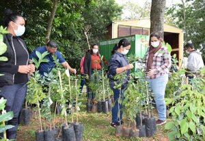 Productores de Central y Cordillera reciben capacitación para fortalecer producción sostenible