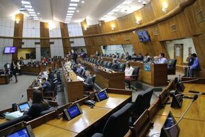 Diputados lamentan homicidio de periodista - Política - ABC Color