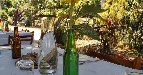 La Nación / Invitan a disfrutar de una experiencia sensorial en la Granja Gourmet