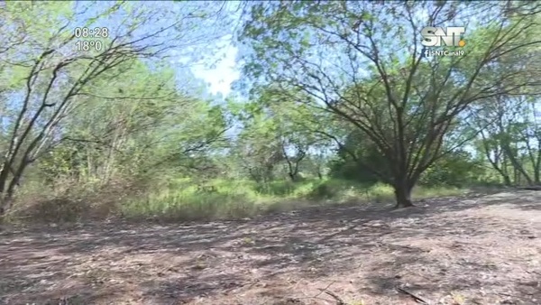 Parque Guasú Metropolitano: El peligro de los incendios forestales - SNT