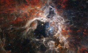 El telescopio Webb capta una impactante “tarántula” gigante espacial
