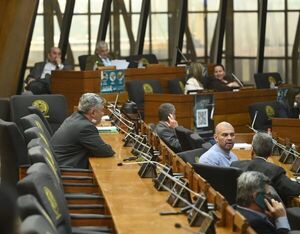 Anuncian proyecto para blindar de “clanes familiares y lavadores” las cooperativas - Política - ABC Color
