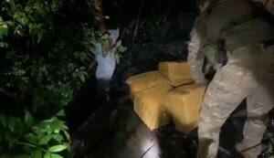 Crónica / Encuentran más de 100 kilos de macoña en bosque de Itacuá