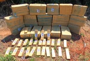 Paraguay narco: Eliminan 511 toneladas de marihuana y generan “lucro cesante” de US$ 15 millones al negocio criminal – La Mira Digital