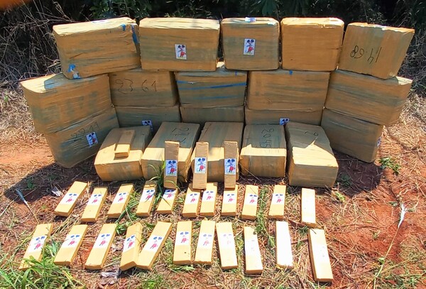 Paraguay narco: Eliminan 511 toneladas de marihuana y generan “lucro cesante” de US$ 15 millones al negocio criminal – La Mira Digital