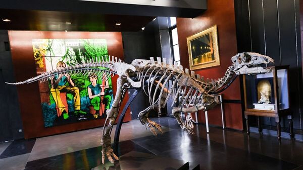 Se subasta un dinosaurio de 150 millones de años en Francia