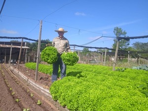 Una década produciendo gran variedad de rubro hortícola - Noticiero Paraguay